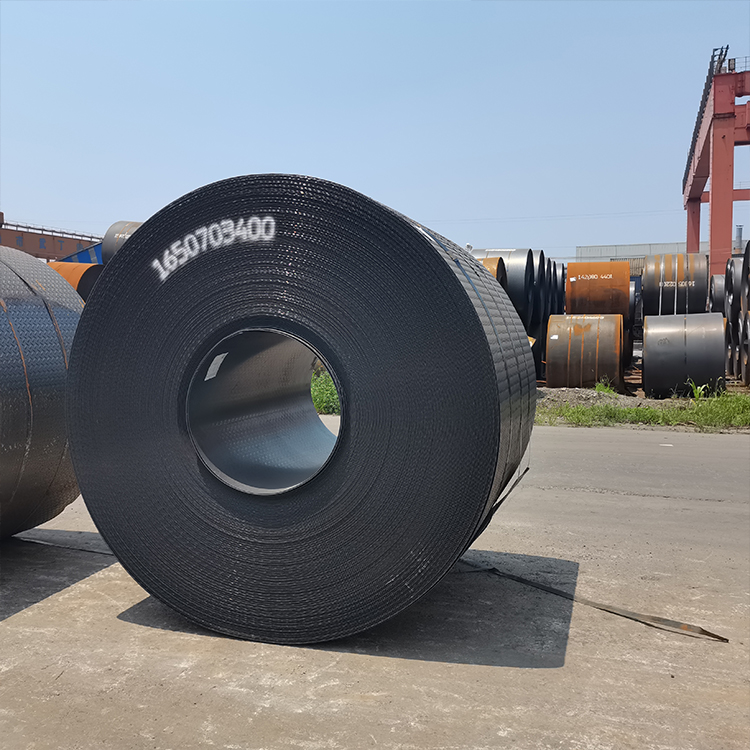 Carbon Steel Coil (11)