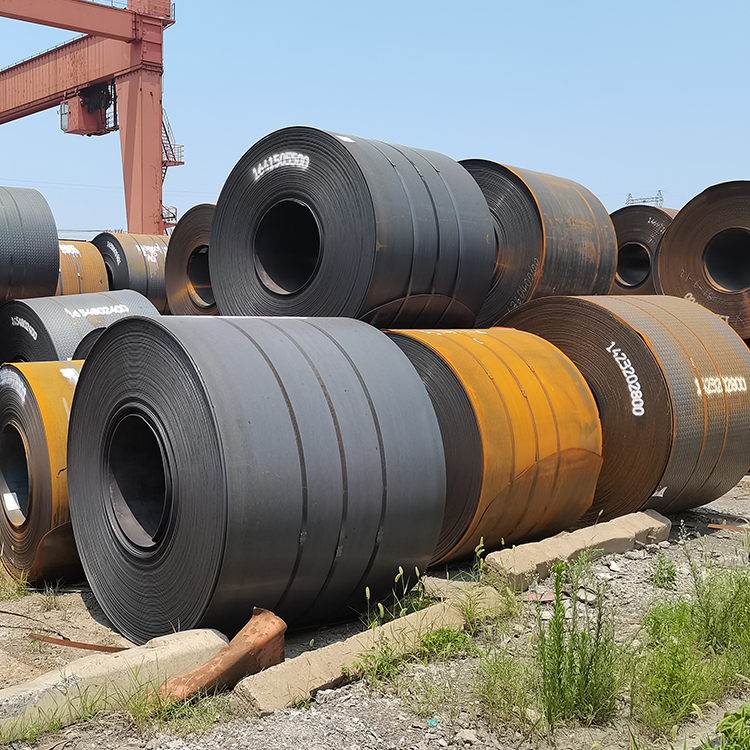 Carbon Steel Coil (12)