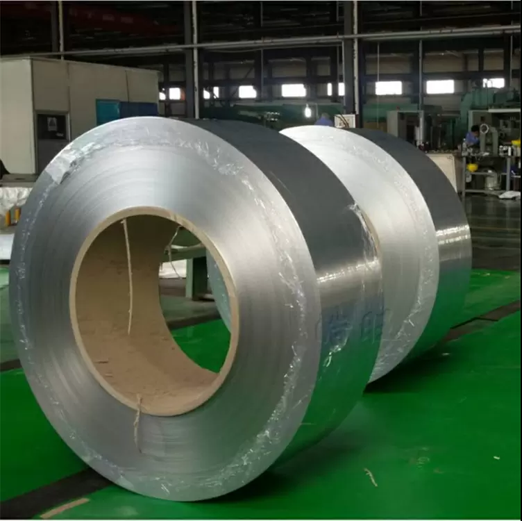 Stainless Steel Strip (16)